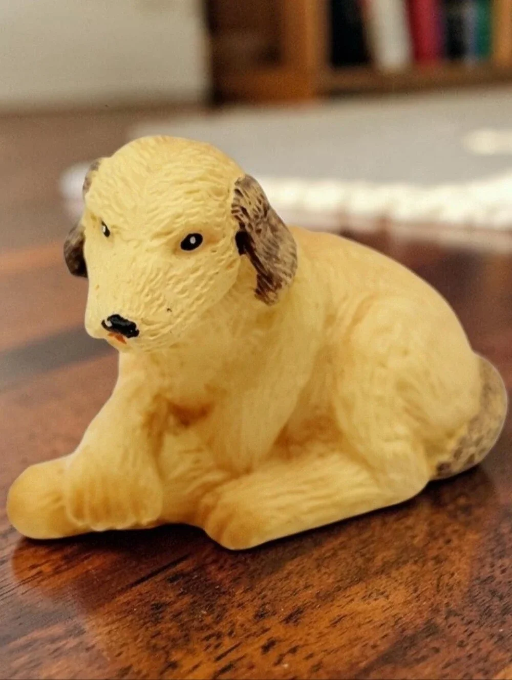 Spaniel Retriever 1